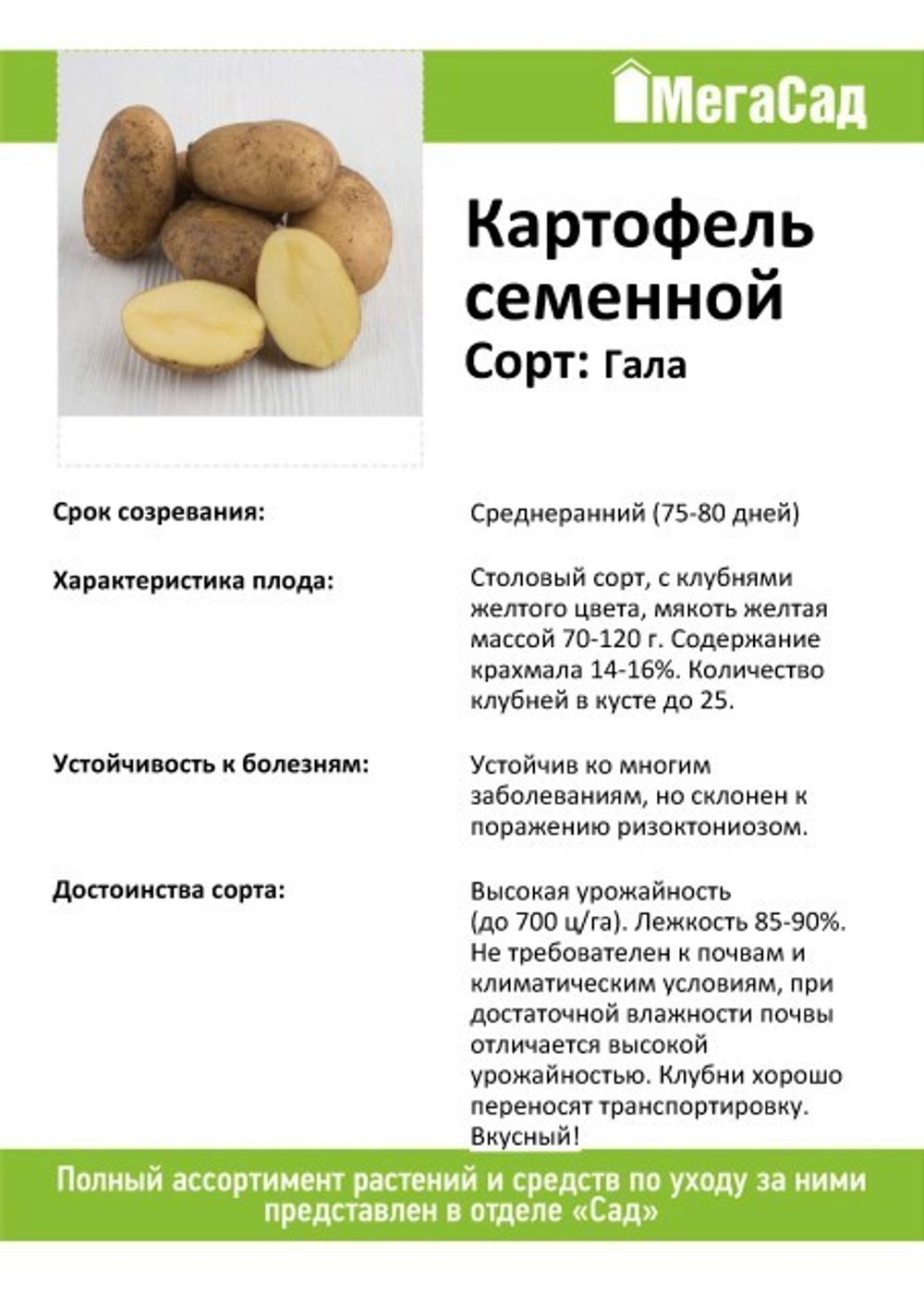 Картофель семенной 2кг сорт Гала