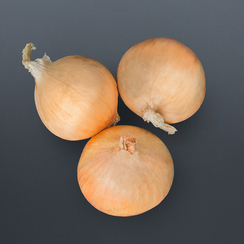 Макалу семена лука репчатого (Bejo / Бейо)