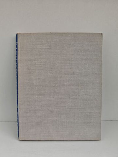 Солнцеворот. Синяя весна