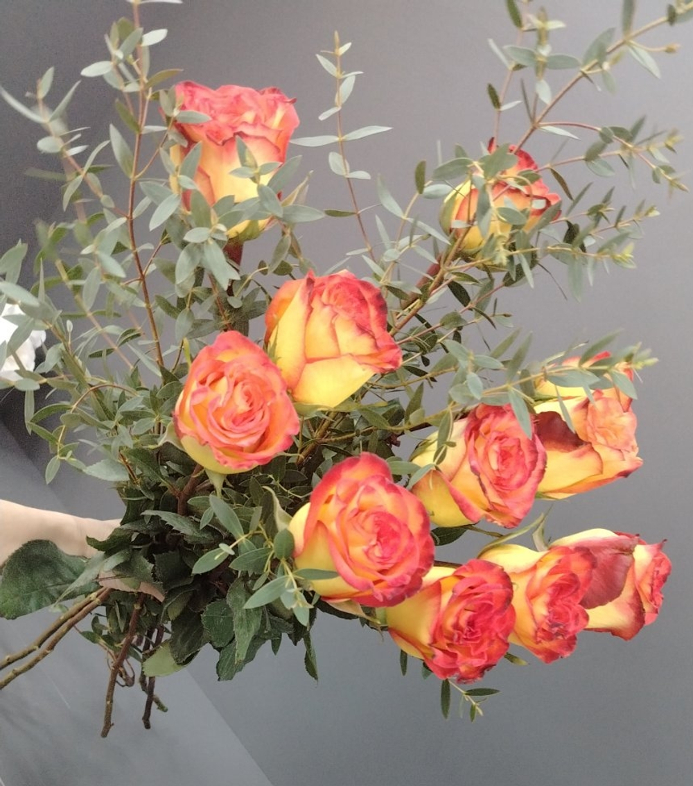 Розы Хаймэджик с зеленью