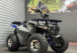 Квадроцикл GBM Daxter 220 Premium