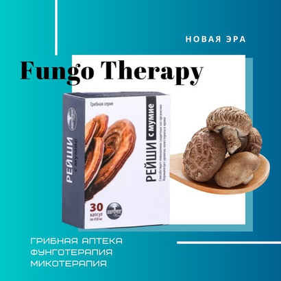 ГРИБНАЯ Аптека