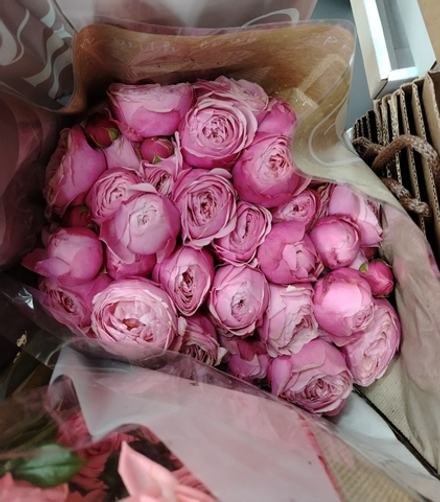 Букет кустовых роз с зеленью