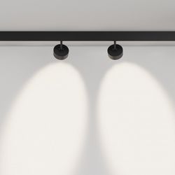 Светильник на штанге Maytoni Lens TR217-4-15WTW-DS-B