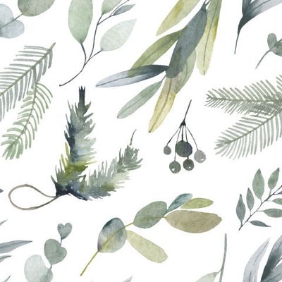 лесная ботаника