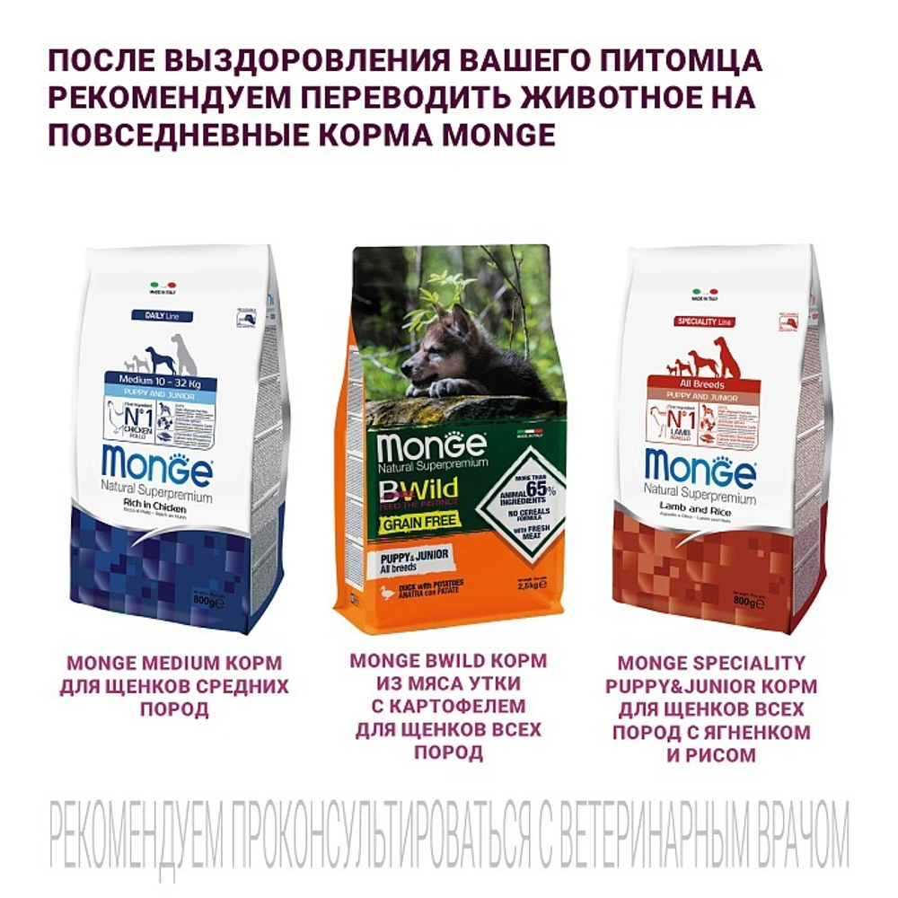 Диетический корм Monge VetSolution Dog Gastrointestinal Гастроинтестинал для щенков при заболеваниях ЖКТ 5 кг