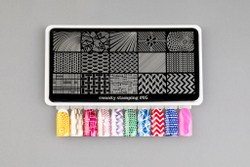 Пластина Swanky Stamping 05