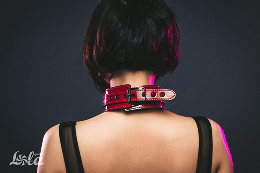 Бордовый ошейник 55см Lola Games Party Hard Eccentric 1092-01lola