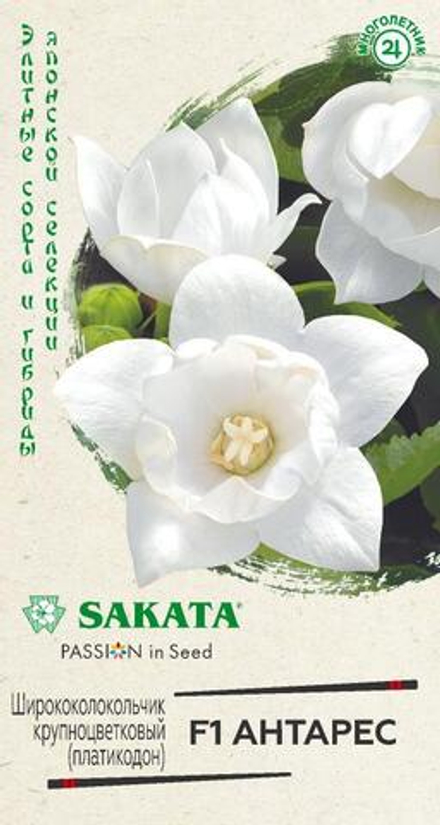 Платикодон (ширококолокольчик) Антарес F1 крупноцветковый 4шт Гавриш