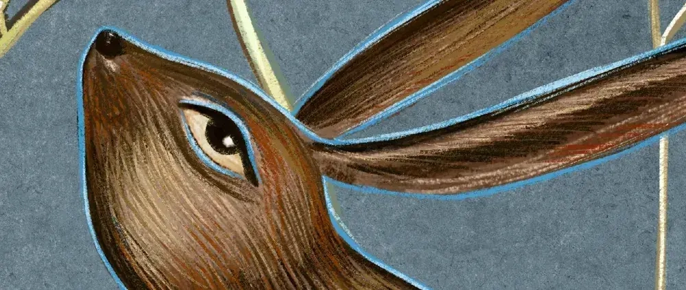 Фотообои флизелиновые ФабрикаФресок Зайцы в цветах 300х270см, обои в детскую, в спальню, гостиную