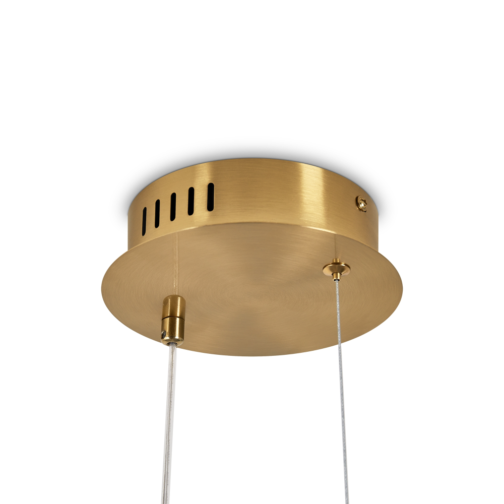 Подвесной светодиодный светильник Freya ECLAT FR6182PL-L14W1