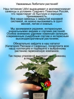 Ежевика Гай бесшипная.