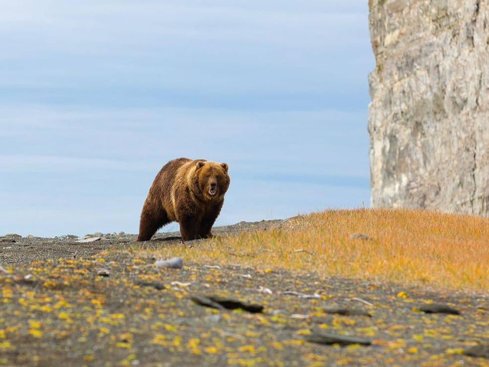Комбинированный тур "Путешествие по южной Чукотке"