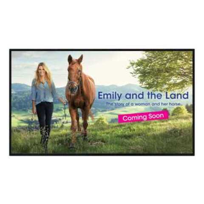 Профессиональный дисплей Sharp PN-HW431