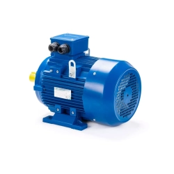 Электродвигатель ESQ 315 LB4-SDN- 200/1500 IMB3