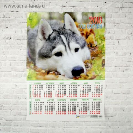 Огурец Кайман Семко