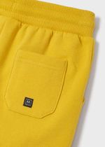 спортивные брюки