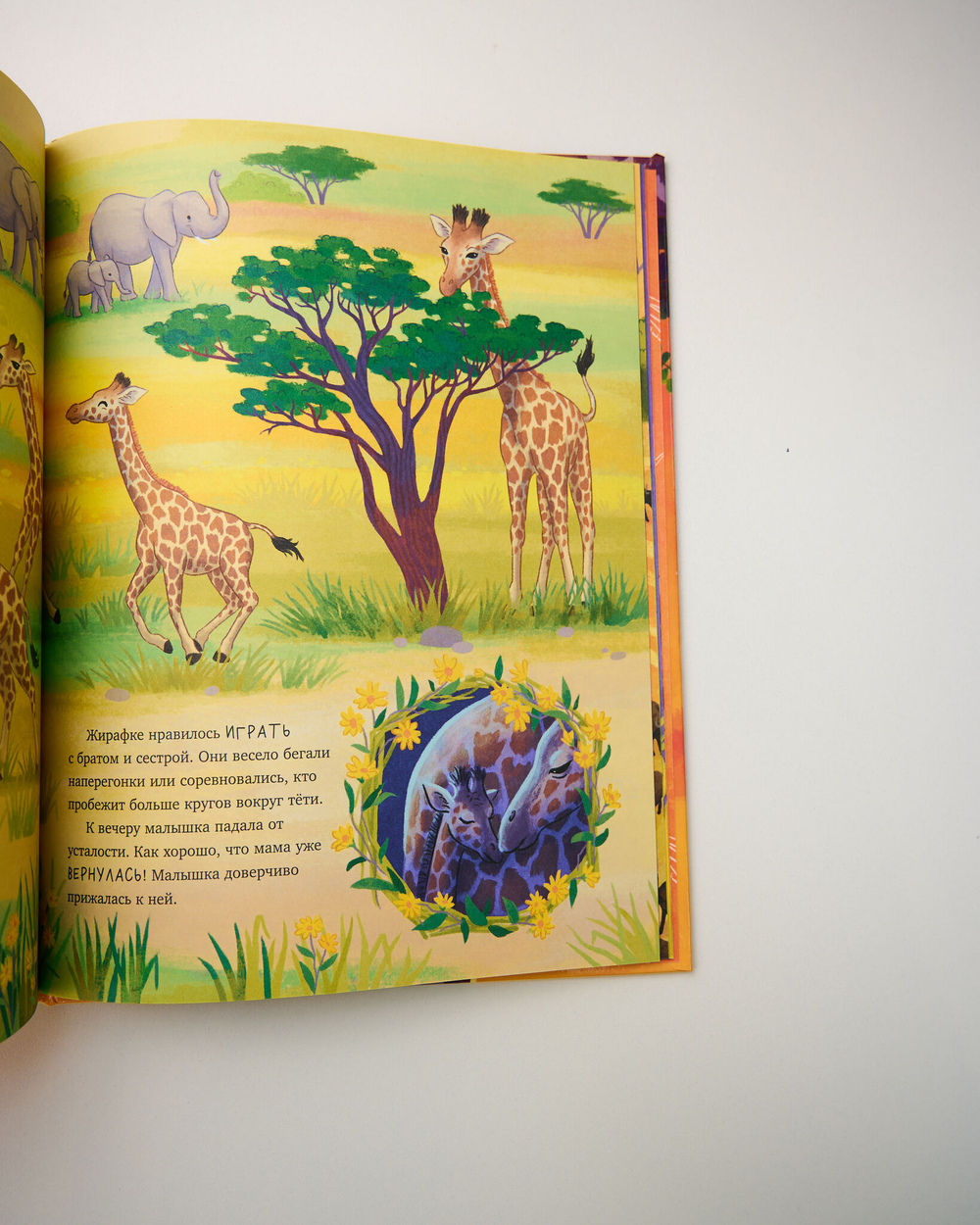 Комплект «Удивительные животные», 3 книги