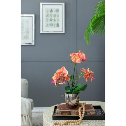 GLASAR Орхидея декоративная