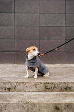 Попона "Пони-попони" темно-серая