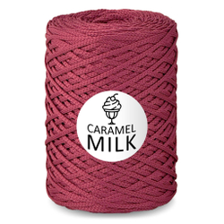 Шнур Caramel Milk, 3мм, 300м, 100% полиэфир (1 шт.)