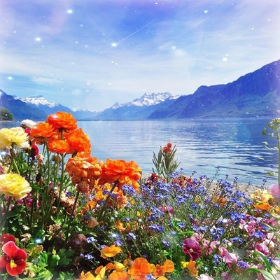 Вебинар-Интенсив 
"Эмоциональная Алхимия". Часть 7