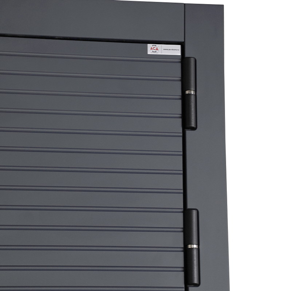 Стальная дверь "Авангард" с механическим замком