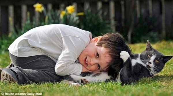 Кот и ребенок Кот и ребенок