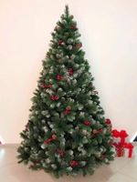 ель Очарование с шишками и ягодами