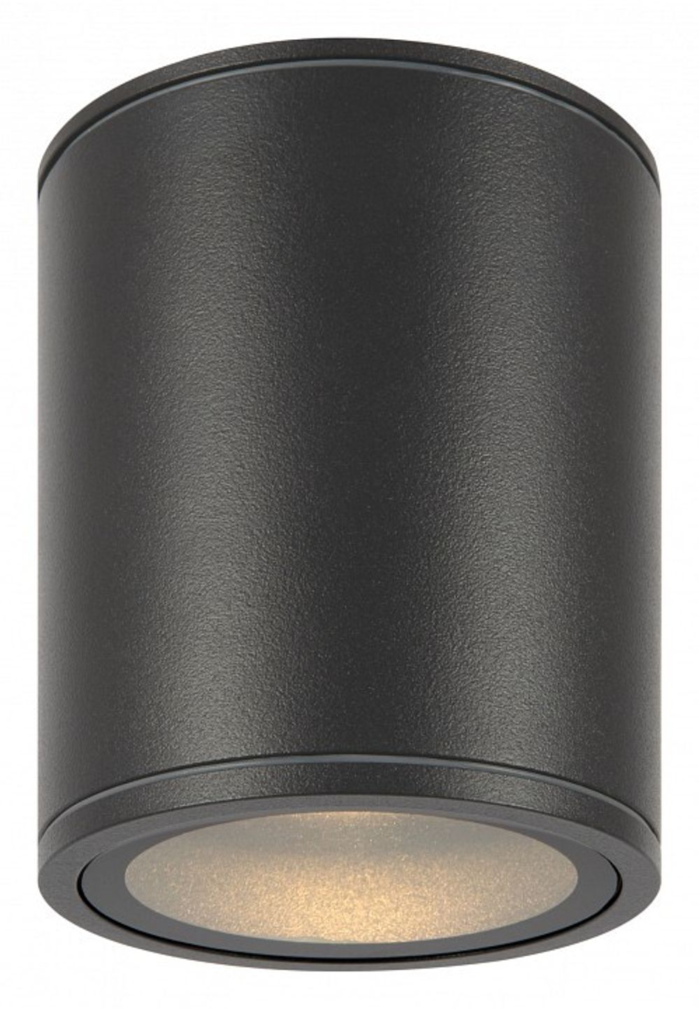 Накладной светильник Maytoni Bar O306CL-L12GF