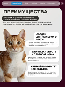Корм сухой для взрослых кошек породы Уральский рекс, с лососем, 2 кг, QUATTRO