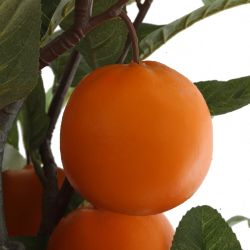 GAEM Дерево искусственное "Апельсин", L52 W52 H146 см