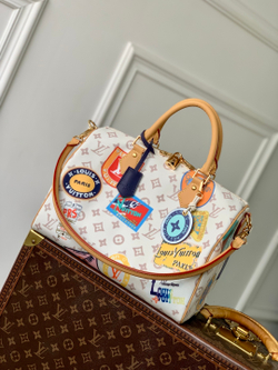 Louis Vuitton Speedy Soft 30