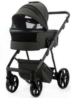 Детская коляска Adamex Delta Natura 2 в 1 DN-12-FOREST