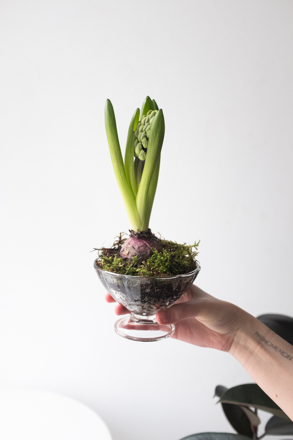 Серия Винтаж. Первоцветы в хрустале S