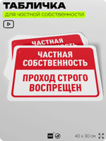 Табличка для частной территории "Частная собственность, проход строго воспрещен", на дом, для участка, организаций, предупреждающая, 40х30 см, Silver Plane x Айдентика Технолоджи