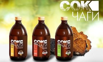 Уникальные свойства чаги