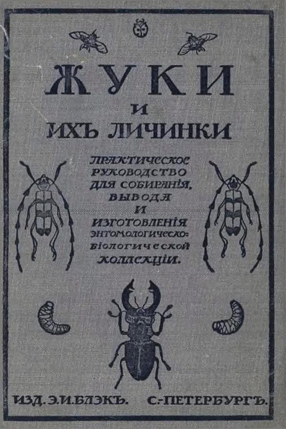 Жуки и их личинки | Карл Мюлль