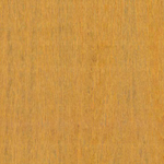 Arte Amazone 2 Fierce – 23504