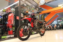 Кроссовый мотоцикл FXmoto Raptor (NC300) 21/18