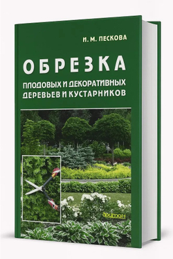 Обрезка плодовых и декоративных деревьев и кустарников