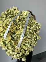 Кустовая роза в светло-желтом оттенке