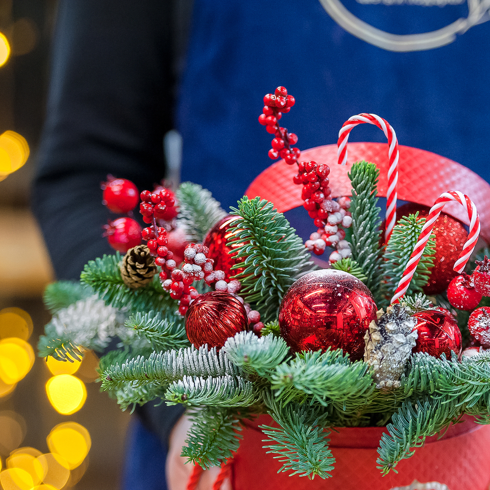 Красная шляпная коробка с нобилисом