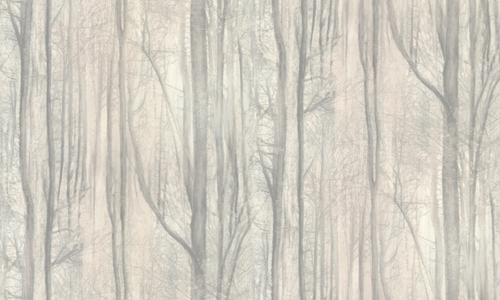 АСПЕКТ Deluxe 1,06 м 70392-24