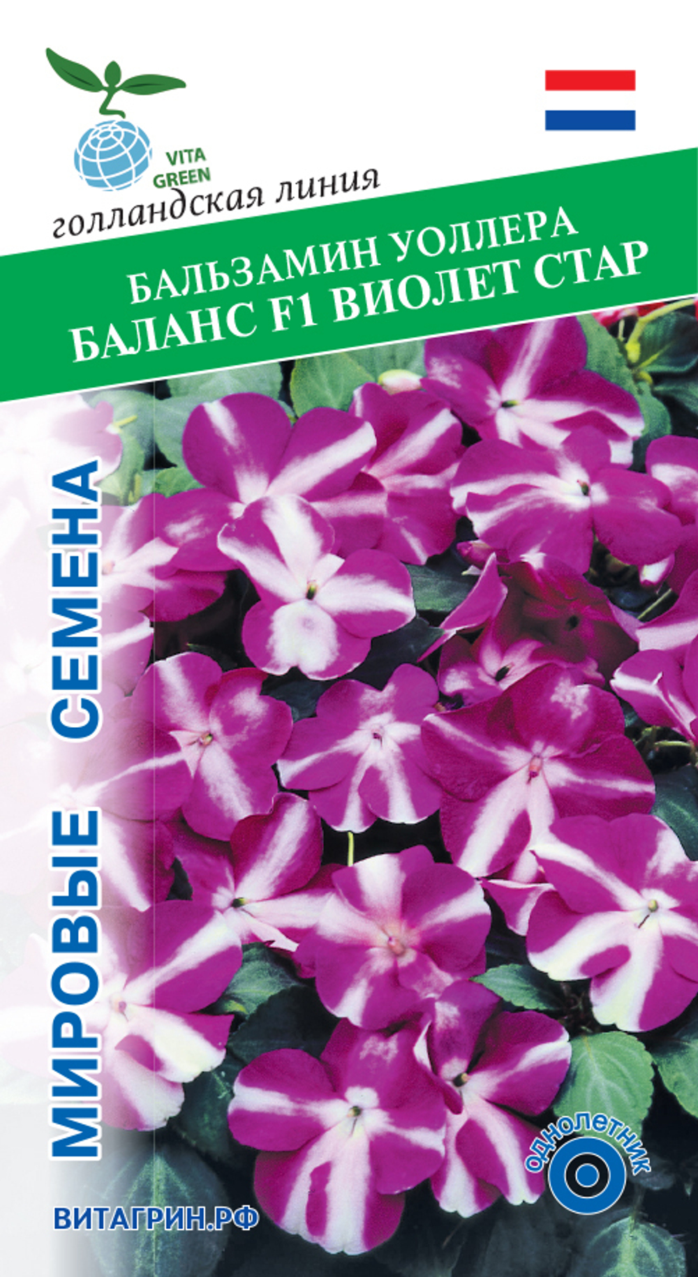 Бальзамин Уоллера Баланс F1 Виолет Стар 10шт Мировые Семена VITA GREEN