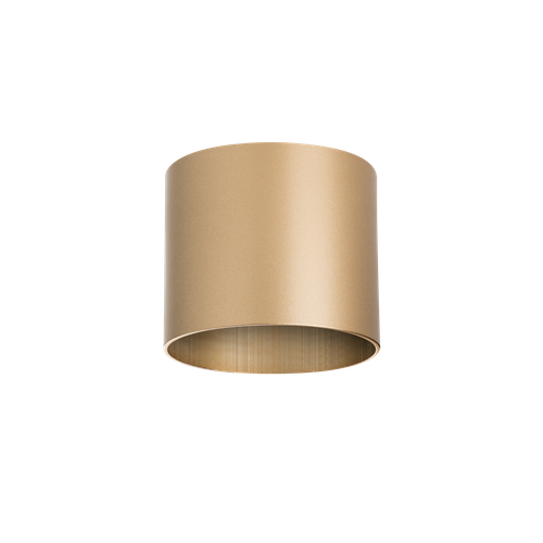 Накладной светильник Lightstar Rullo 213490