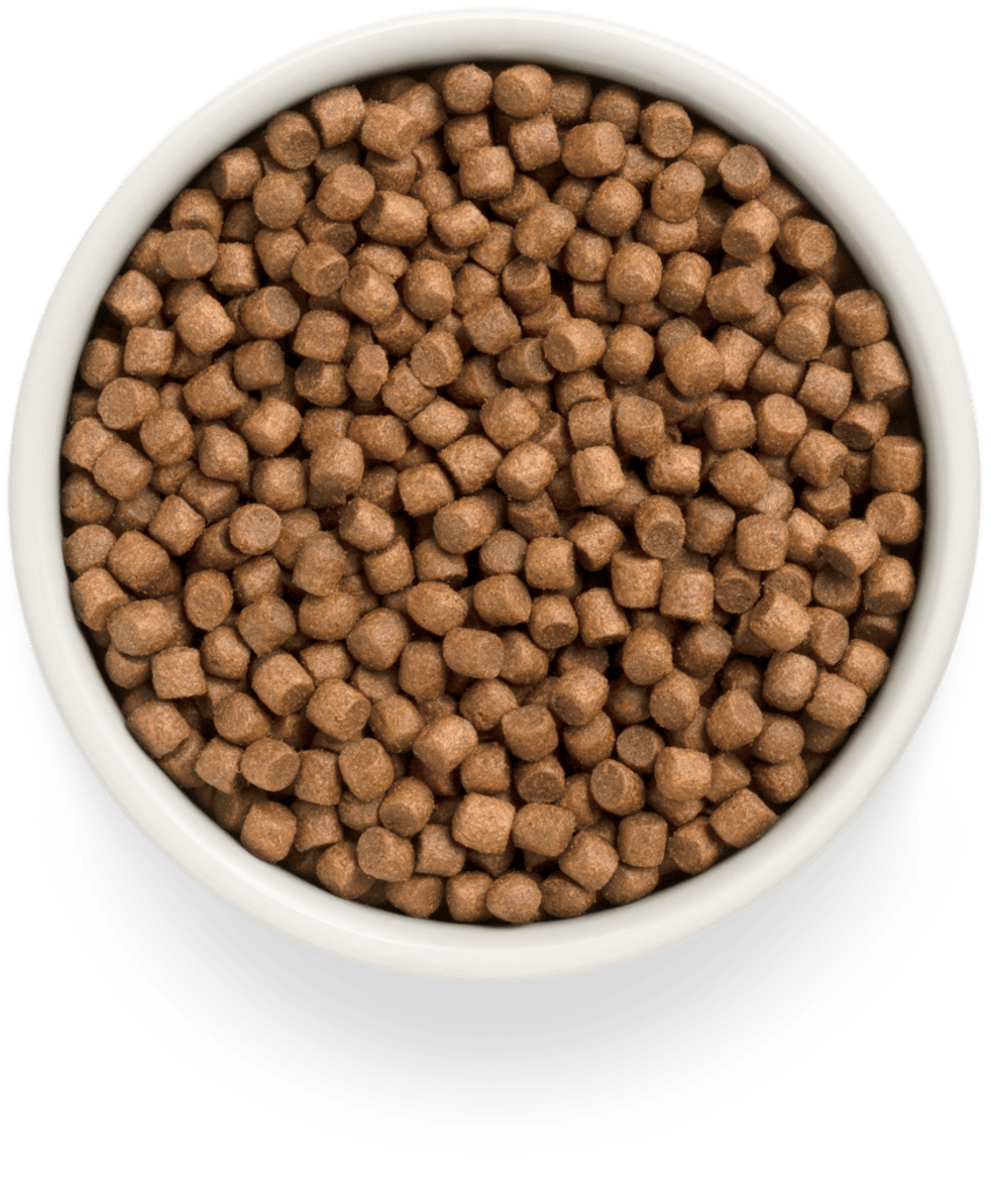 Grandorf Fresh Dog Potato корм сухой беззерновой для щенков ягнёнок,батат