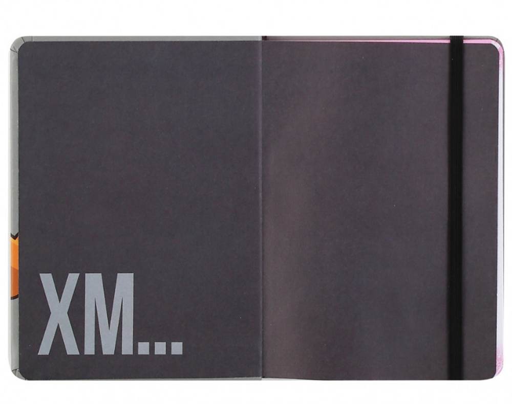 Записная книжка на резинке А6 64 л. КОКОС Гусь Гагарик (242396)