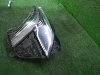 DSCN9764.JPG