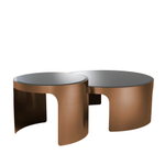 Журнальный столик Coffee Table Piemonte set of 2 арт.113299